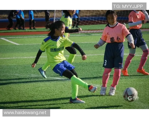 追梦绿茵场从少年轻狂到传奇巨星的人生奋斗史 追梦绿茵场从少年轻狂到传奇巨星的人生奋斗史