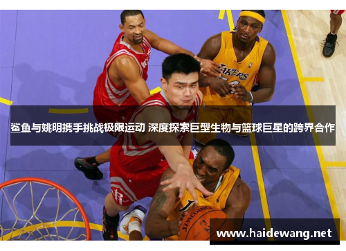 鲨鱼与姚明携手挑战极限运动 深度探索巨型生物与篮球巨星的跨界合作